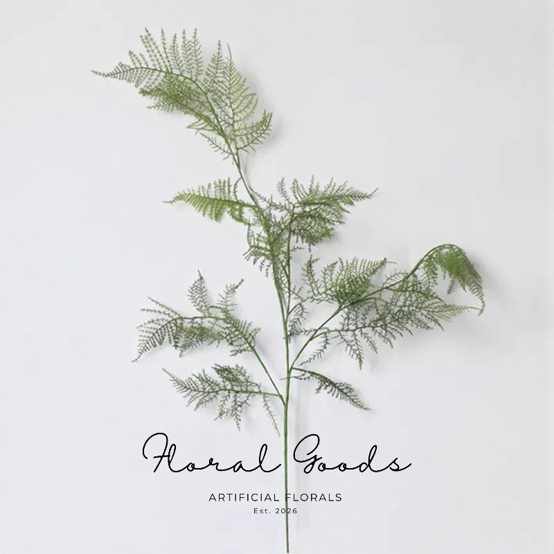Airy Asparagus Fern Branch