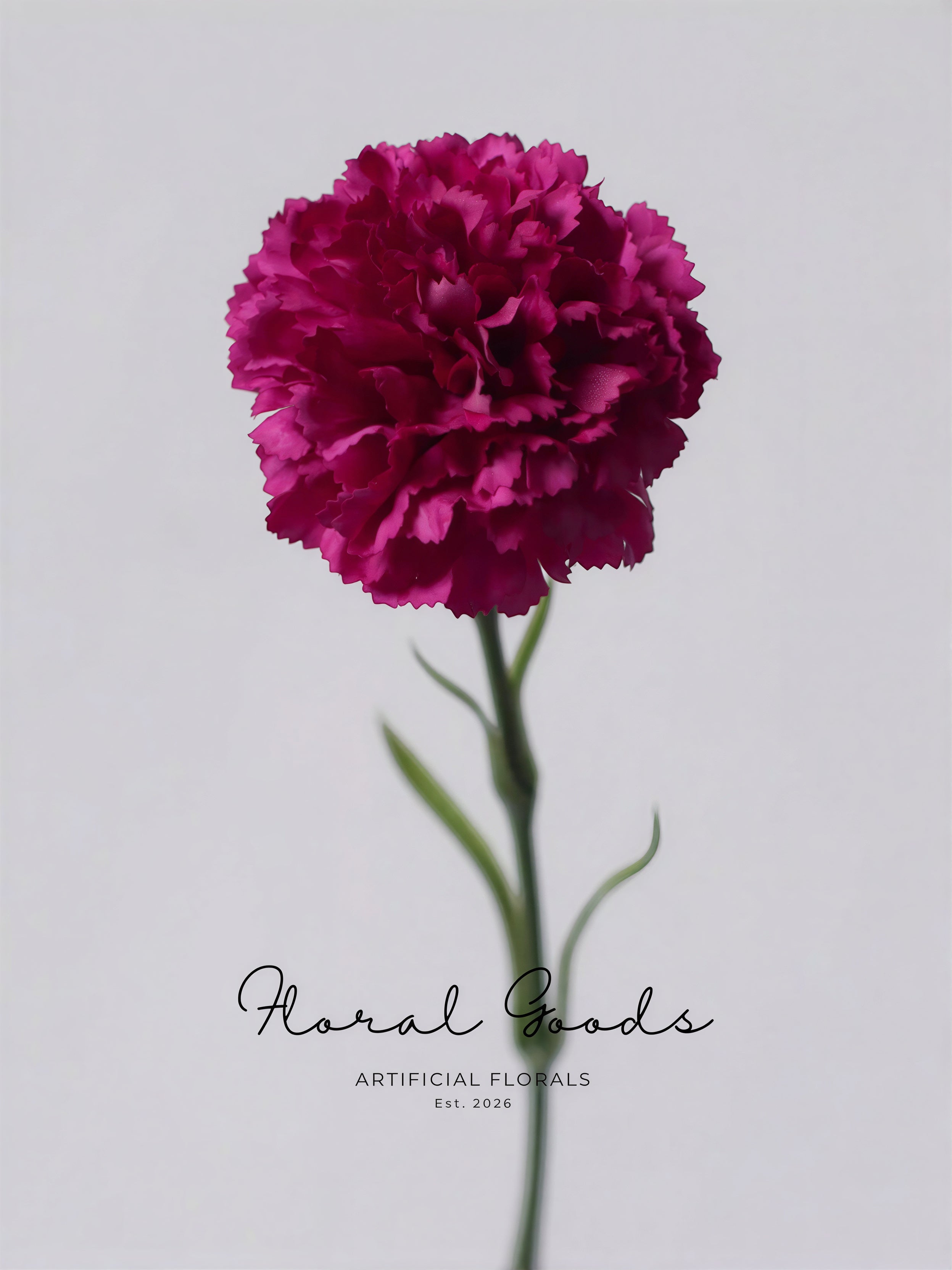 Classic Carnation Stem – 20"