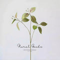 Variegated Ficus Branch – 29.5"