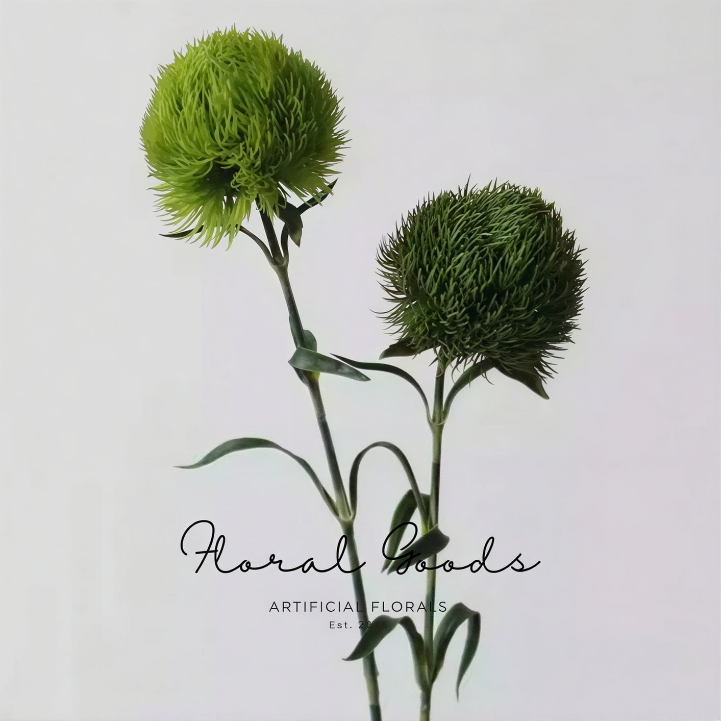 Green Trick Dianthus Stem – 21.7"