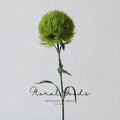 Green Trick Dianthus Stem – 21.7"
