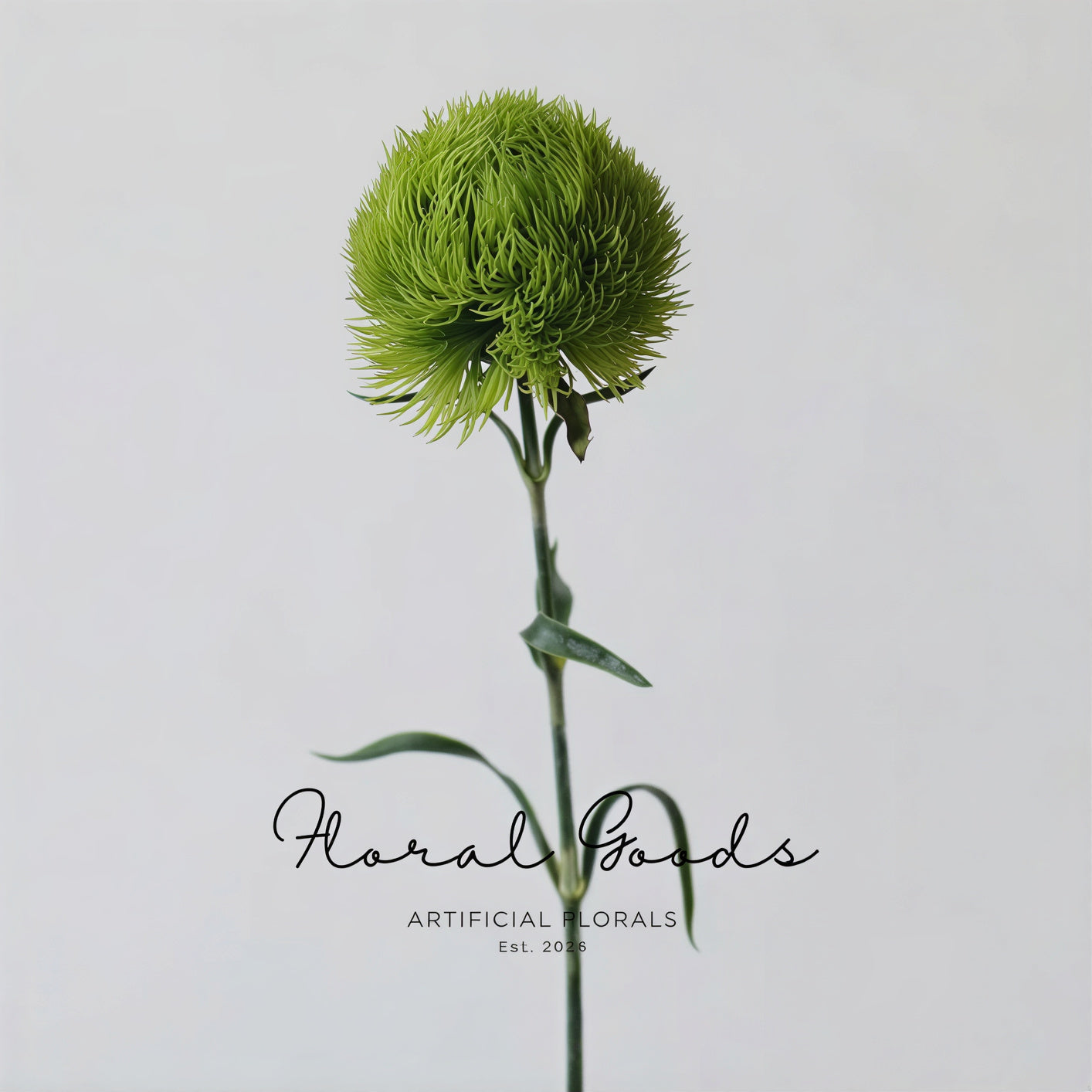 Green Trick Dianthus Stem – 21.7"